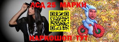 стафф Коммунар