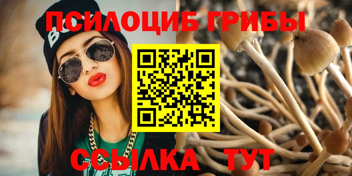 Галлюциногенные грибы MAGIC MUSHROOMS  наркотики  Псилоцибиновые грибы Psilocybine cubensis  Великие Луки  Вход с VPN 