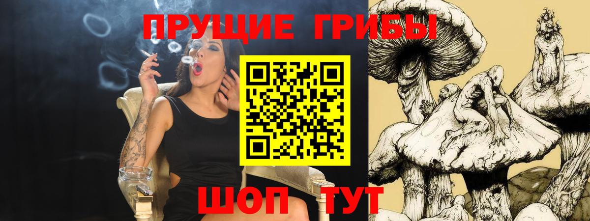 Псилоцибиновые грибы прущие грибы Великие Луки